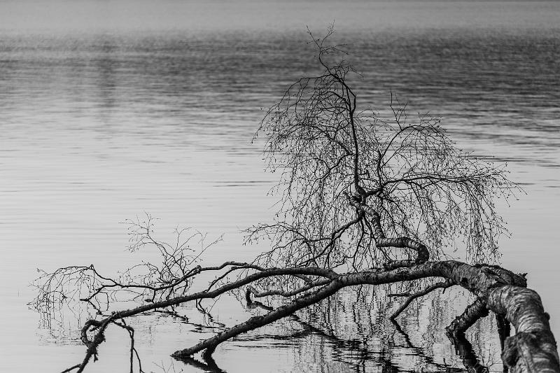 2018_02_24_Lac des Settons (0075).jpg - Lac des Settons (Février 2018)